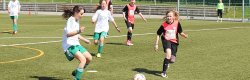 2017-05-20 D-Juniorinnen vs KSV Hessen Kassel